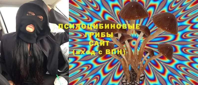 Галлюциногенные грибы Magic Shrooms  Кировград 